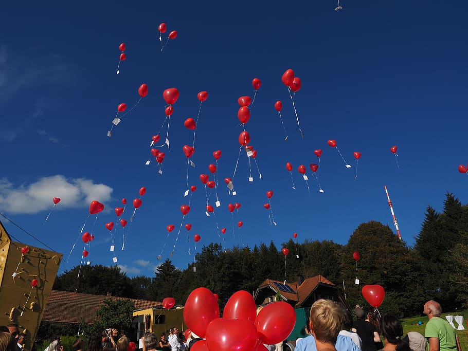 balloons, fly, wedding, congratulations, rise, upgrade, heart HD wallpaper