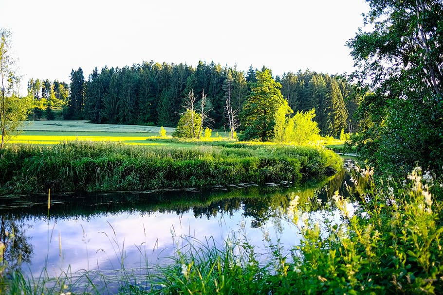river, green, landscape, meadow, idyllic, nature, water, mirroring HD wallpaper