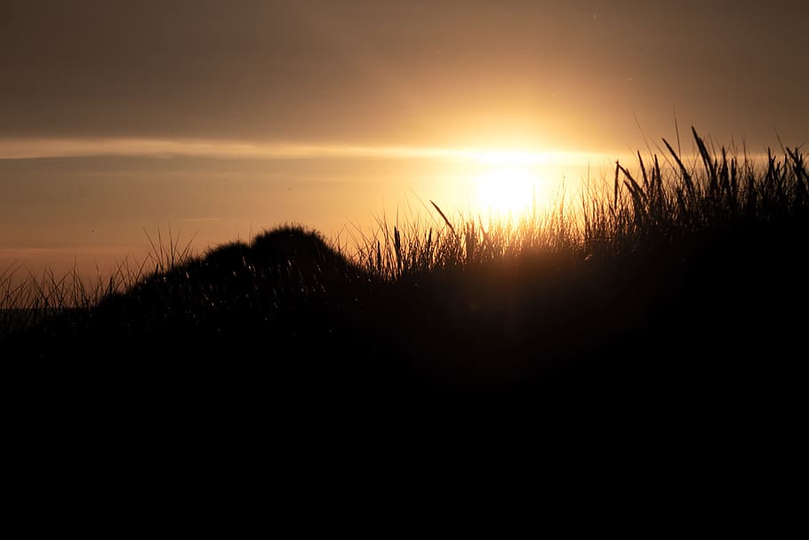 sunset, dunes, denmark, sand, beach, north sea, sand dune, nature HD wallpaper