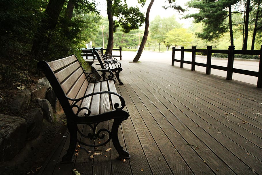 Break, Listen, park, ben listen, tree, wood - material, fog HD wallpaper
