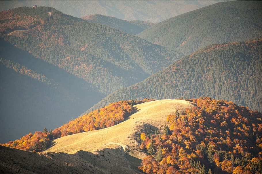 mountains, hills, trees, scenics - nature, environment, beauty in nature HD wallpaper