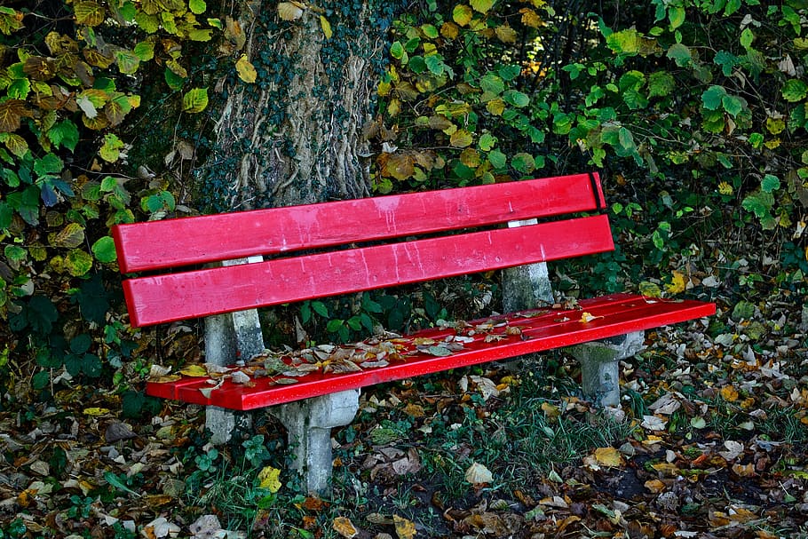 autumn, bench, bank, seat, nature, out, forest, resting place