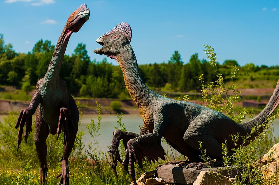 two gray dinosaurs, gad, mammal, extinct, model, dragon, natural