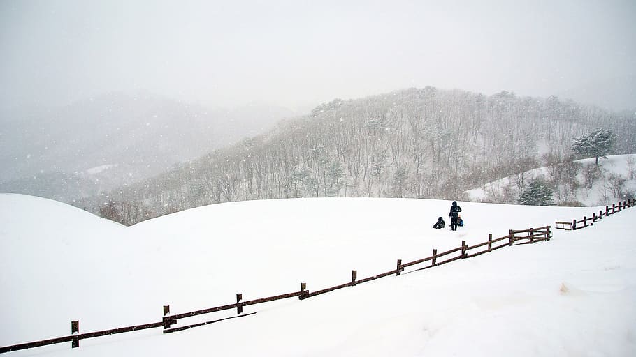 klitschko, whether or not, snow, winter, nature, mountain, outdoors HD wallpaper