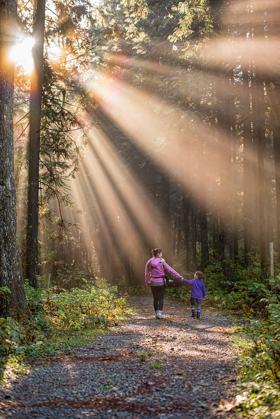 two female on pathway surrounded by trees, beautiful, british columbia