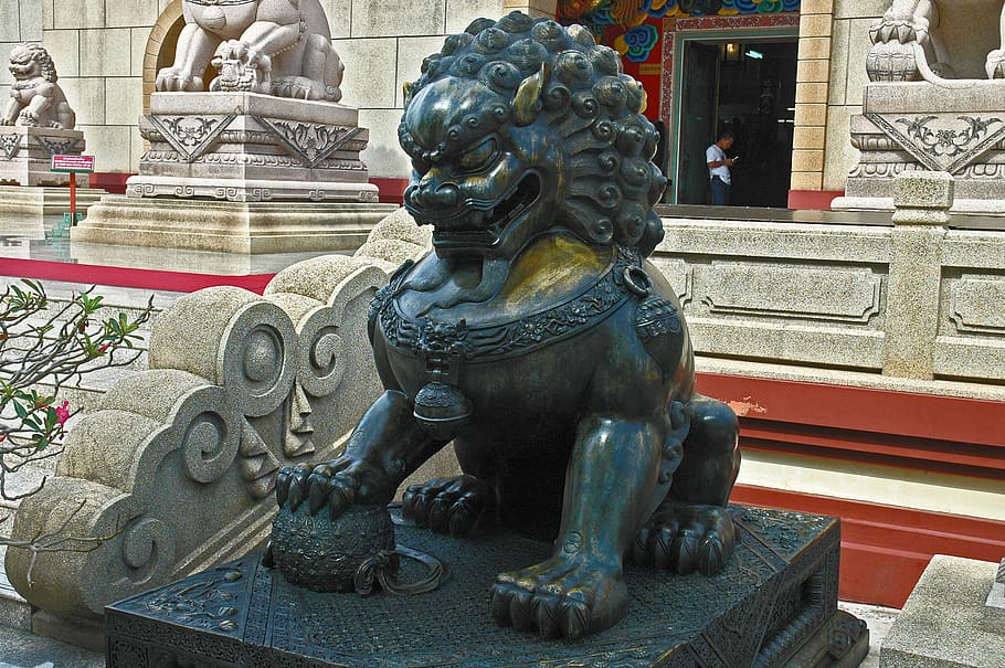 Sculpture, Lion, broncefigur, statue, day, building exterior HD wallpaper