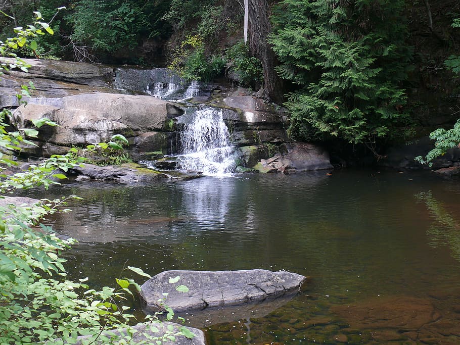 Waterfall, Pond, Stream, Tree, Tranquil, environment, outdoor HD wallpaper
