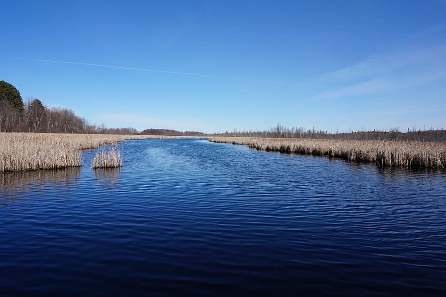 nature, ottawa, outdoor, spring, landscape, water, scenics - nature HD wallpaper