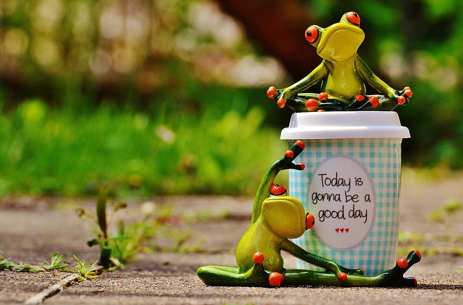 selective focus photography of two frog figurines beside white disposable cup, HD wallpaper