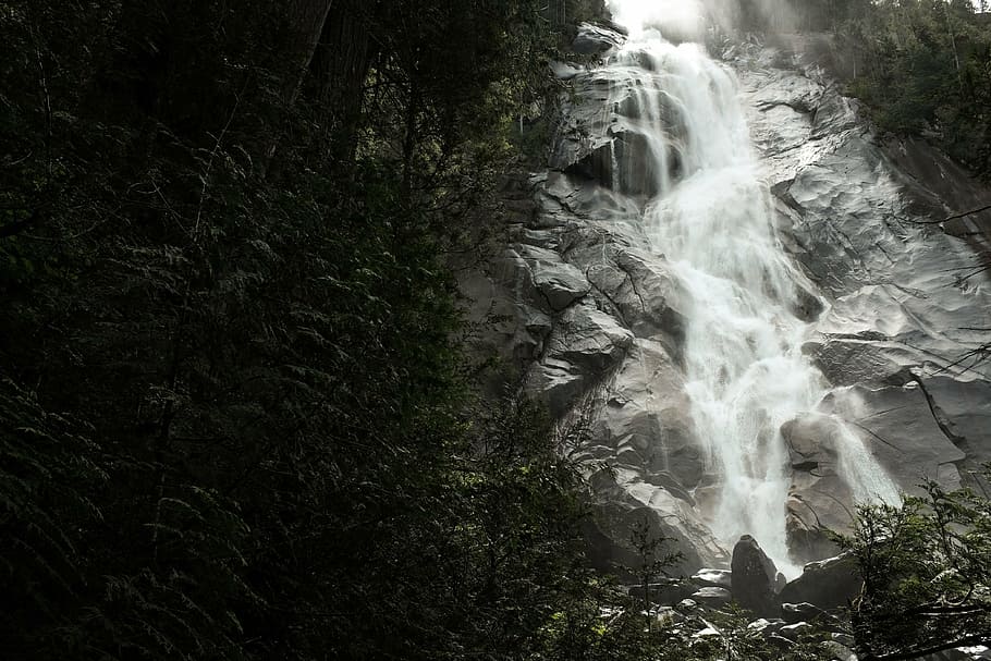 grayscale photo of plunge waterfalls, stream, nature, green HD wallpaper