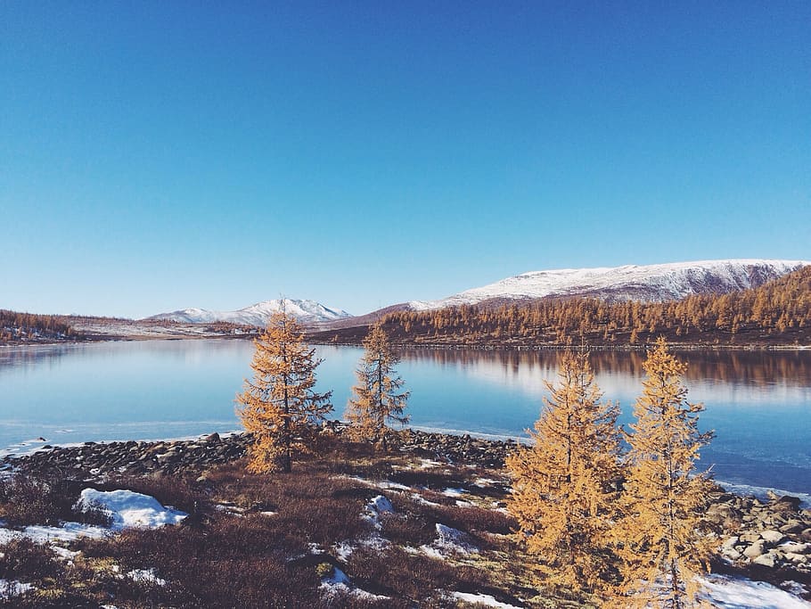 snow, cold, sunny, icy, frozen, blue, winter landscape, cold weather HD wallpaper