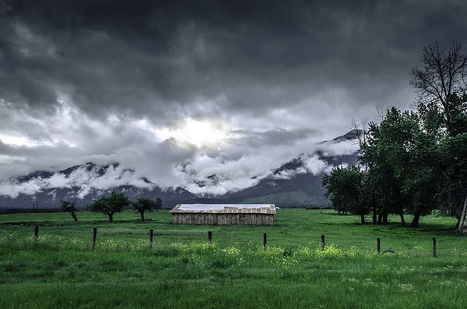 green grass field and brown wooden house, landscape photography HD wallpaper
