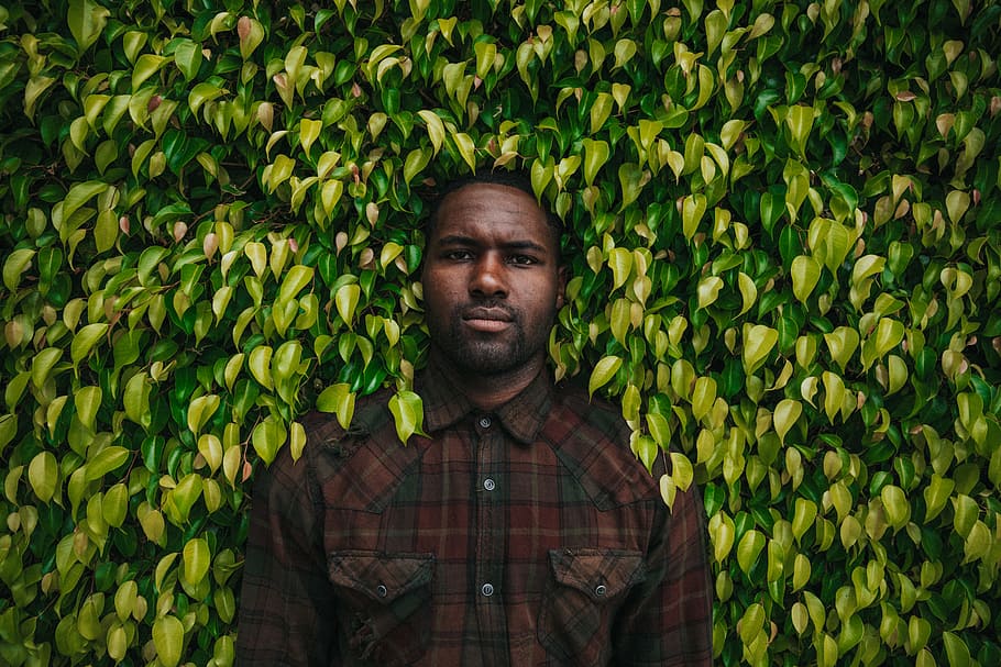 man standing in front of leafed plant, man wearing red plaid button-up shirt HD wallpaper