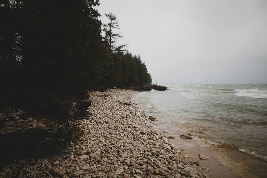landscape photography of green leaved trees on seashore, beach HD wallpaper