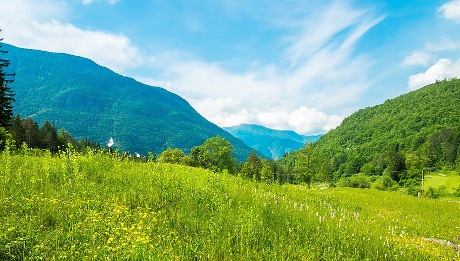 slovenia, alpine, mountains, meadow, nature, sky, clouds, landscape, HD wallpaper