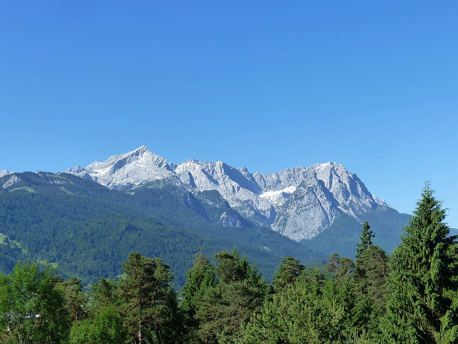 mountains, snow, forest, alpine, imperial weather, panorama