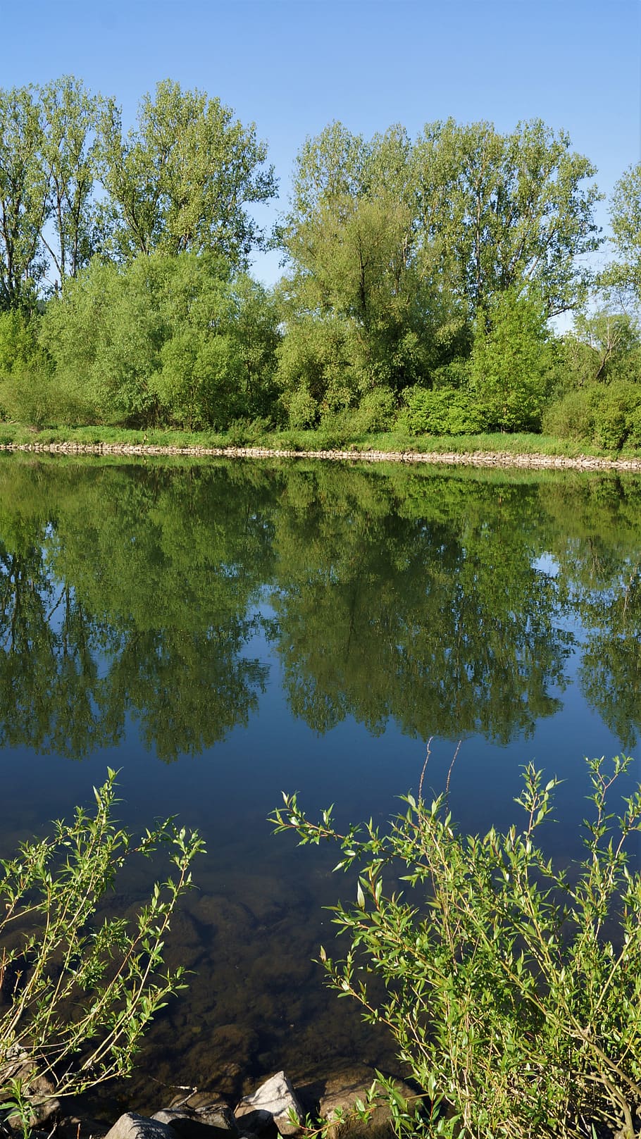 nature, waters, tree, summer, reflection, river, landscape HD wallpaper