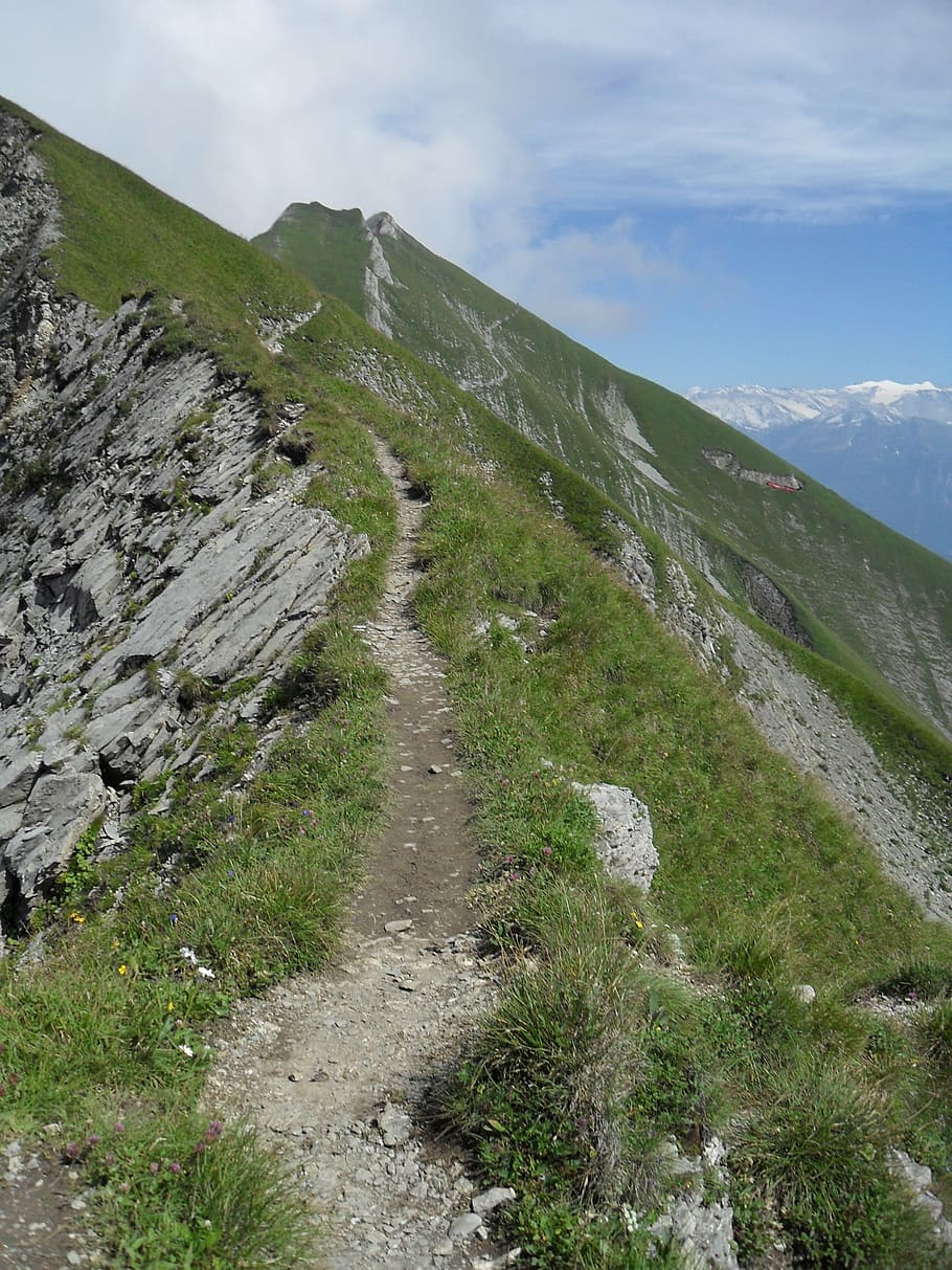 höhenweg, brienzer rothorn, hike, hiking, path, mountain, trail, HD wallpaper