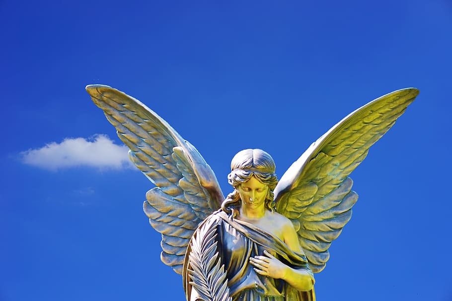 focus photo of angel statue, stone, sculpture, figure, deco, angel figure, HD wallpaper