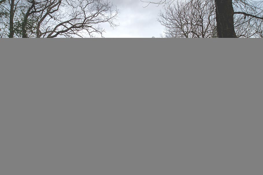white and teal wooden house near road, leafless trees, church HD wallpaper