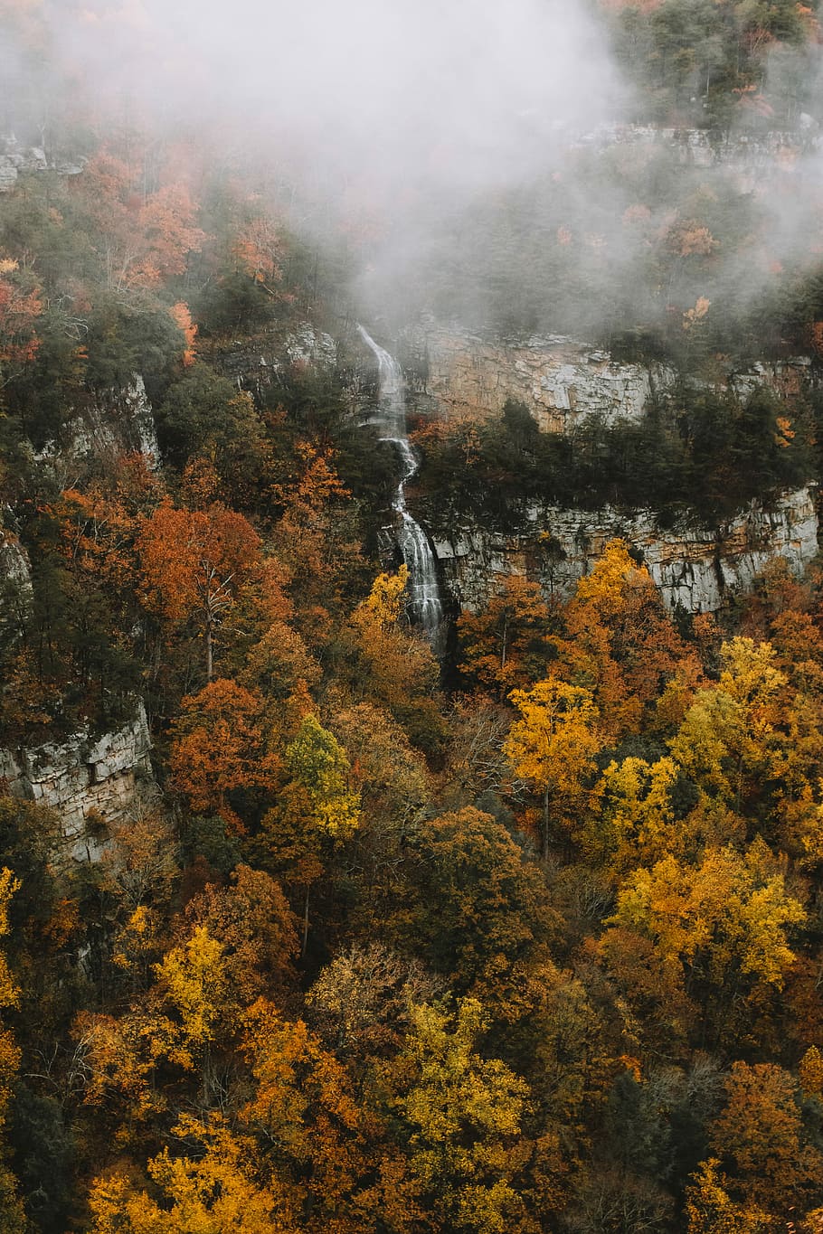 aerial view of waterfalls surrounded by tall trees with fog, green trees on mountain with clouds HD wallpaper