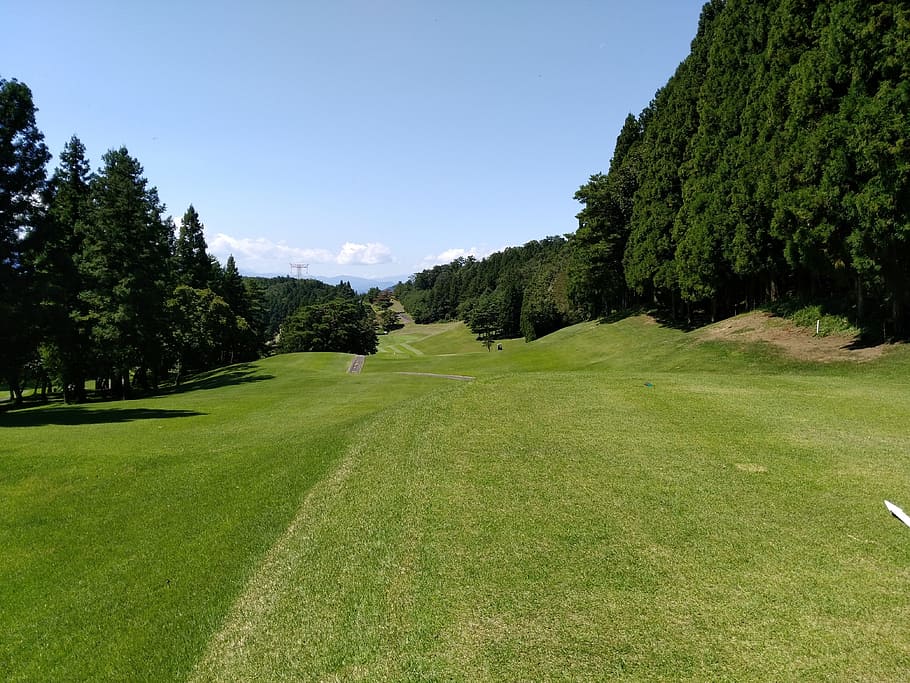 golf, course, yoshii, plant, green color, grass, tree, sky HD wallpaper