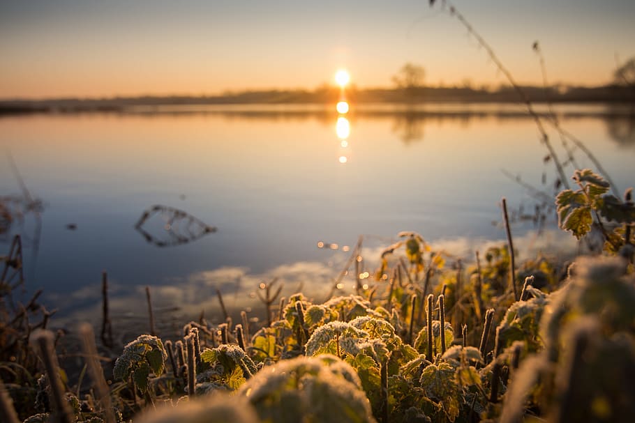 sunrise, river, mood, landscape, morning light, elbe, water HD wallpaper