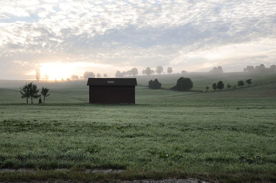 black house on center of grass field nature photography, brown shed surrounded by green grass during daytime HD wallpaper