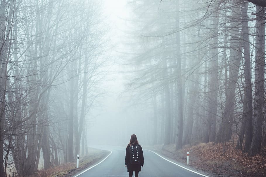 woman standing in between bare trees during daytime, fog, mist HD wallpaper