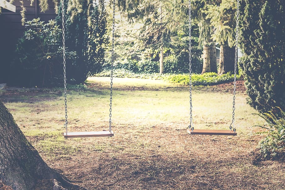 two brown swings on tree, backyard, trees, grass, plant, nature HD wallpaper