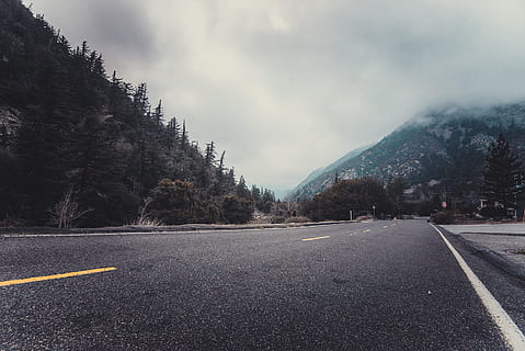 road, sky, clouds, cloudy, asphalt, conifers, fir trees, foggy HD wallpaper