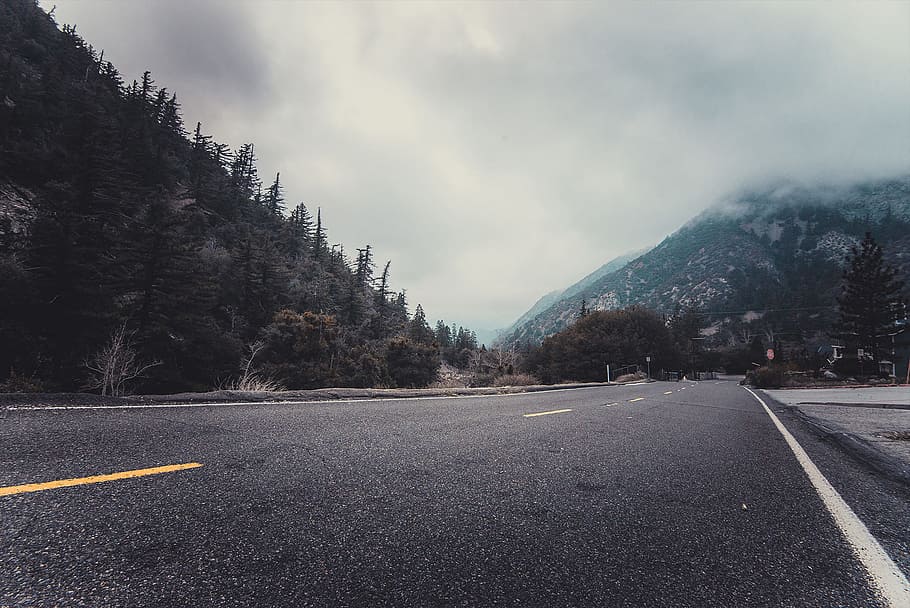 road, sky, clouds, cloudy, asphalt, conifers, fir trees, foggy HD wallpaper