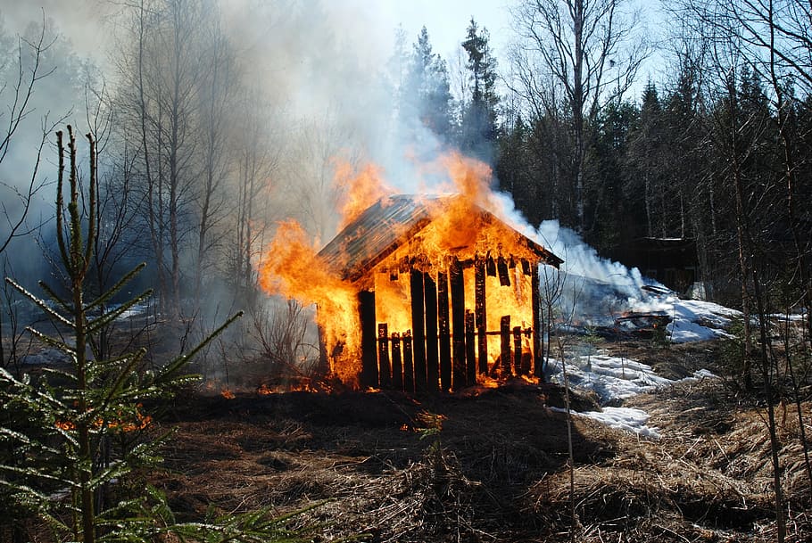 brown wooden shed burning in flames, fire, barn, spring, forest HD wallpaper