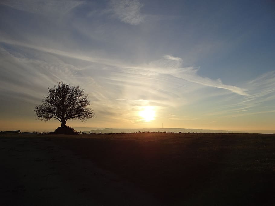 field, lorraine, amance, winter, twilight, evening, sunset HD wallpaper