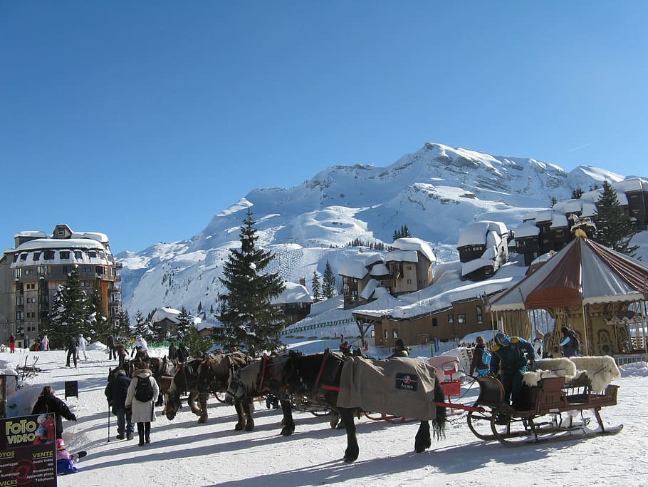 sledge, horse, snow, skiing, horse-drawn, winter, mountain, HD wallpaper