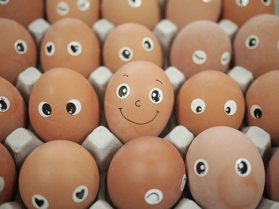 closeup photo of eggs on tray, easter, easter eggs, sparkling eyes HD wallpaper