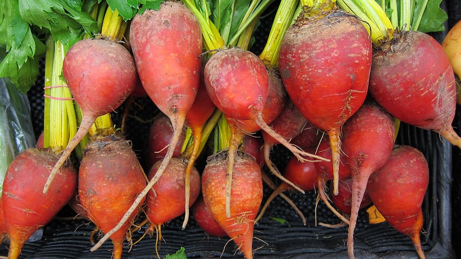 bunch of red radish, beets, local, organic, healthy, market, food