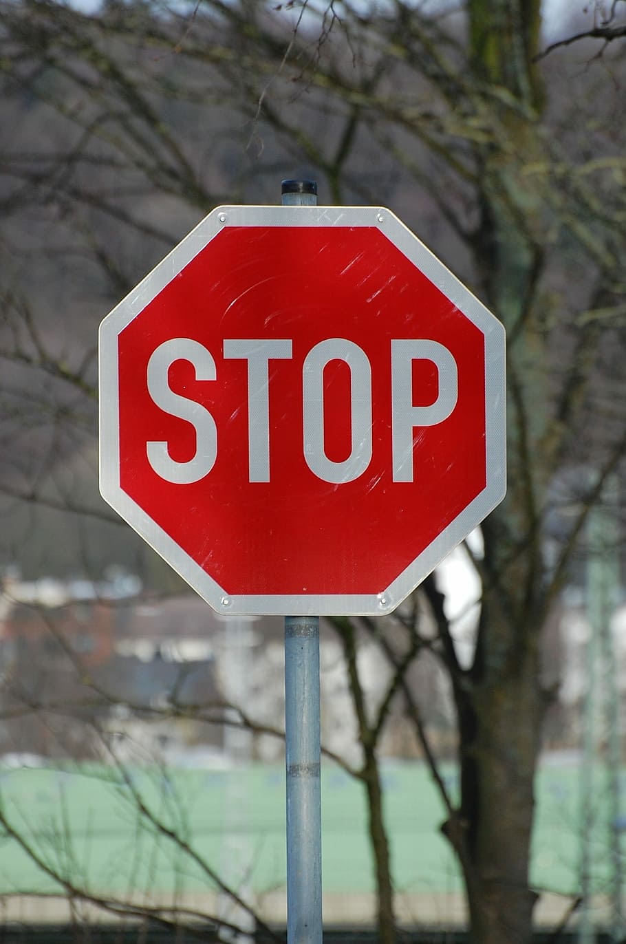 Stop, Shield, Warning, White, red, warnschild, street sign HD wallpaper