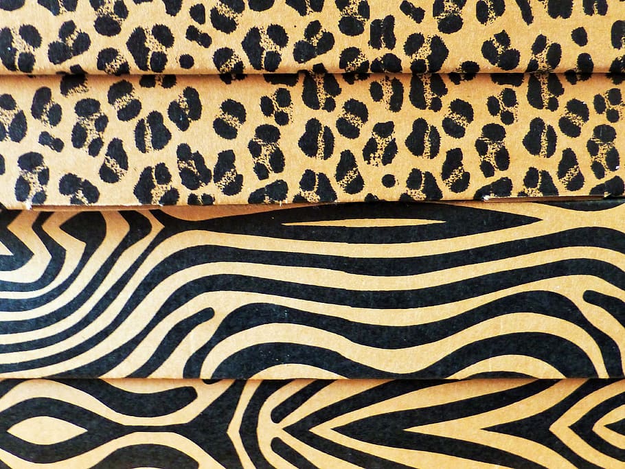 Box, Pattern, Stack, Old Hag, animal wildlife, striped, no people HD wallpaper