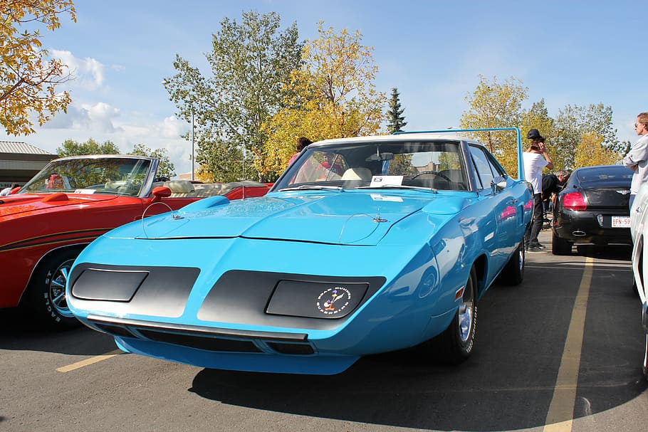 car, dodge, muscle, mode of transportation, motor vehicle, land vehicle HD wallpaper