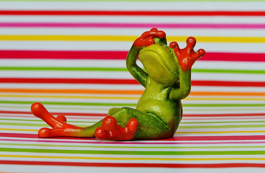 frog, figure, not see, funny, cute, sit, animal, frogs, food HD wallpaper