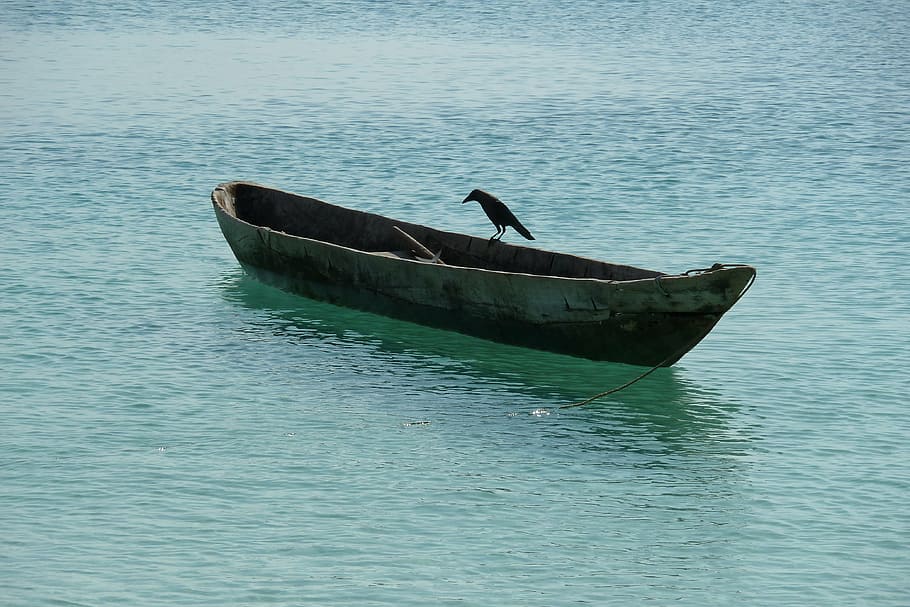 water, boats, sea, lake, duck, bird, nautical vessel, mode of transportation, HD wallpaper