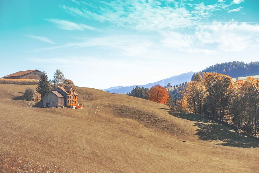 gray house on field, brown wooden barn house under clear blue sky HD wallpaper