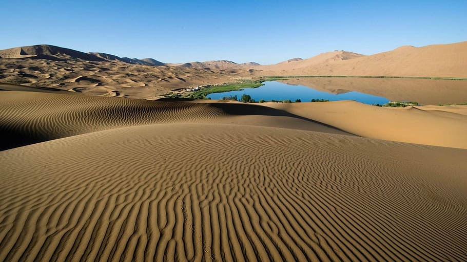brown desert during daytime, sand dunes, ripples, wind, wilderness HD wallpaper