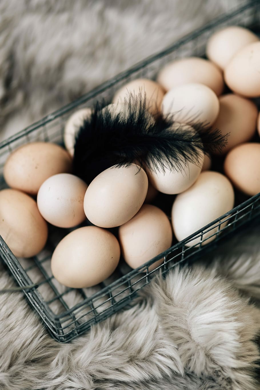Wire mesh basket with fresh farm eggs, breakfast, food, healthy, HD wallpaper