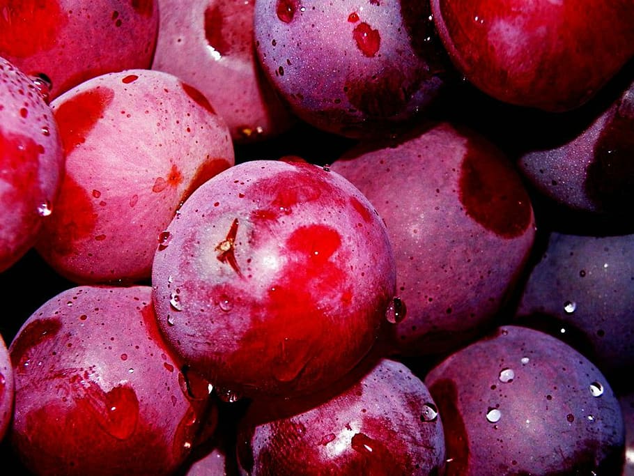 Grapes, Grape, Fruit, fruit washed, food and drink, healthy eating HD wallpaper