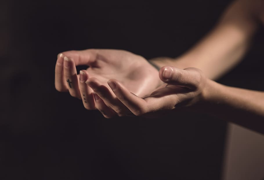 two human palms, focus photography of person hands, closeup, prayer