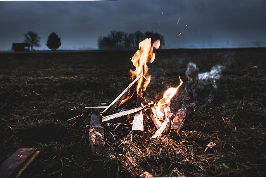 wood, bonfire, campfire, trees, ash, heat, firewood, smoke HD wallpaper