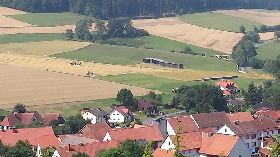 agriculture, landscape, fields, green, spring, village, architecture HD wallpaper