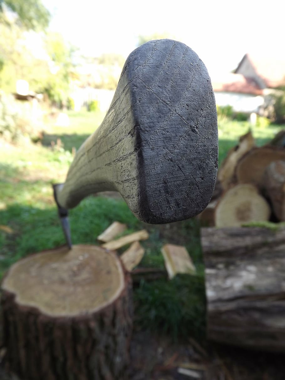 axe, device tree, garden, close-up, day, wood - material, nature HD wallpaper